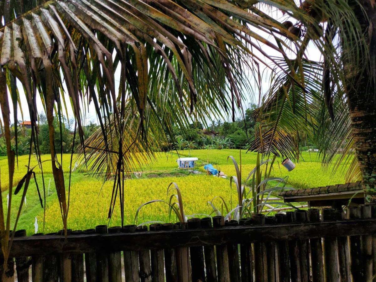 Kakau Villa 2 - Ubud Zewnętrze zdjęcie